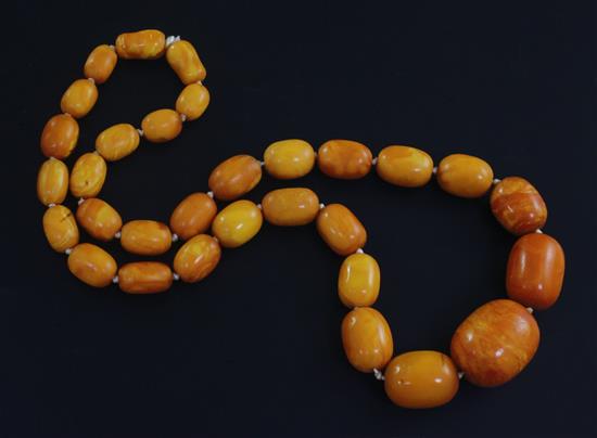 A single strand graduated oval amber bead necklace, 62cm.